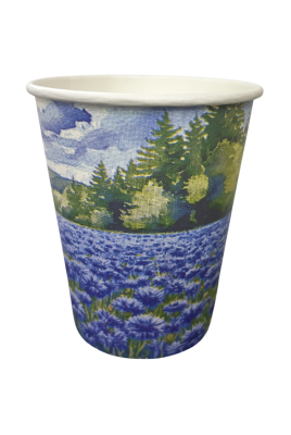 47 (2)