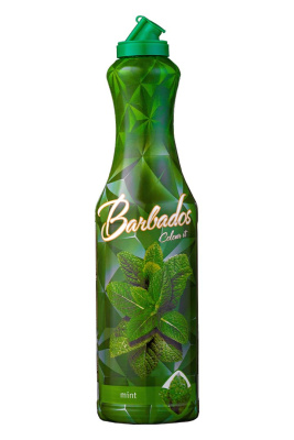 Mint isolated Mint isolated